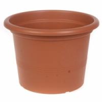 Puķu pods campanula 23 cm g.brūns