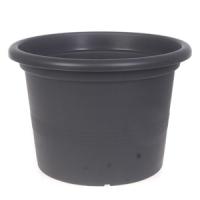 Puķu pods campanula 34 cm antracīts