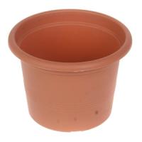 Puķu pods campanula 11 cm g.brūns