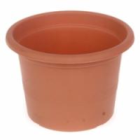 Puķu pods campanula 15 cm g.brūns