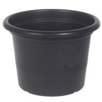 Puķu pods campanula 23 cm antracīts